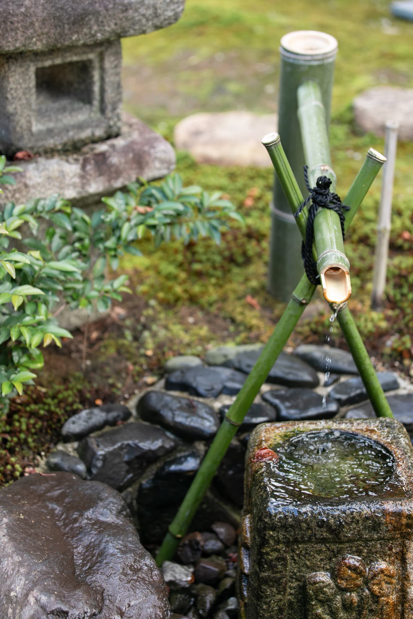 金沢の日本料理仁志川で和装家族婚礼