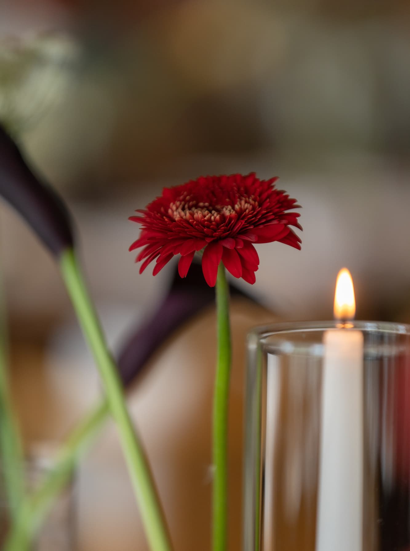 ペンションクルーズで結婚式